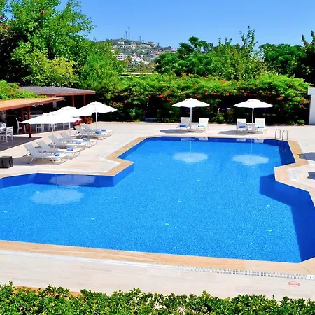 Bed & Breakfast Lemon Garden *