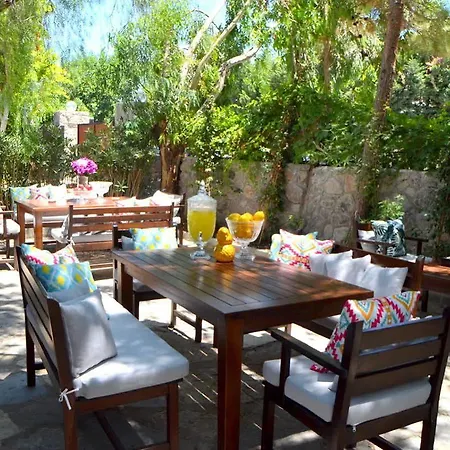 Bed & Breakfast Lemon Garden *